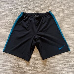 Nike Athletic Dry-Fit Shorts